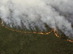 Лесной пожар в Сибири. Фото: ФБУ 