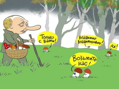 Путин и грибы. Карикатура С.Елкина: dw.com