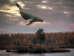 Летящий кит. Иллюстрация: steampunker.ru